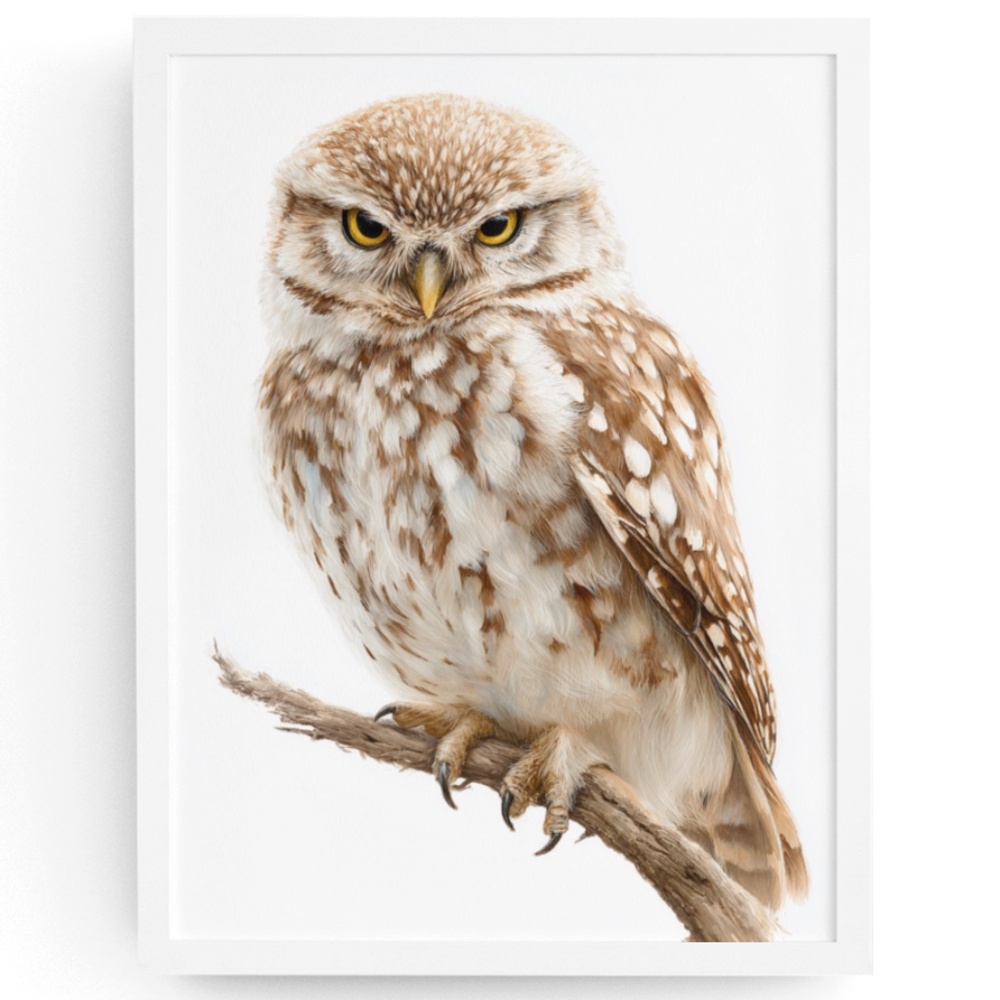 Watercolor Little Owl Portrait Wall Art Print Poster, Unframed - Adorable